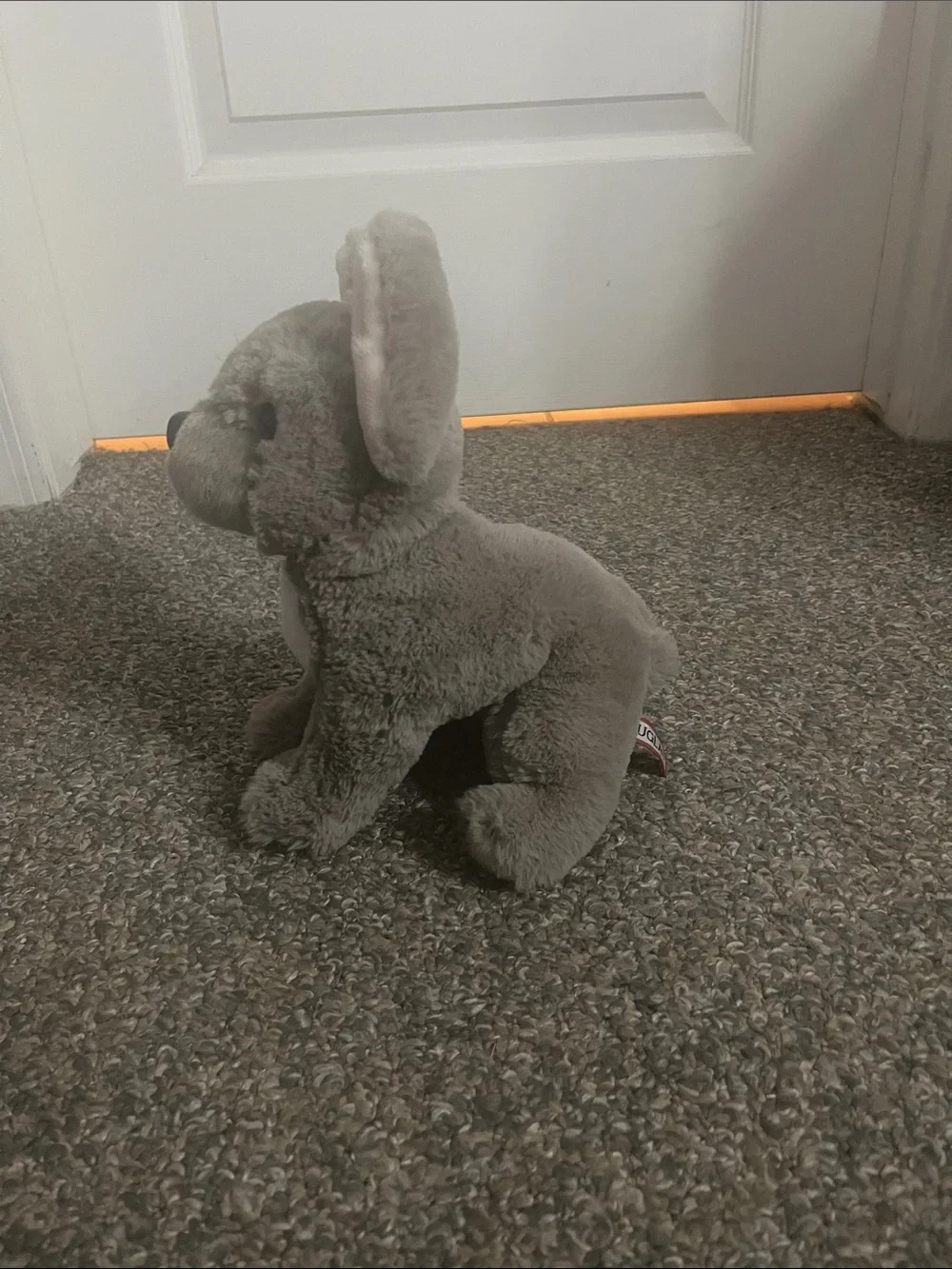 Douglas soft gray